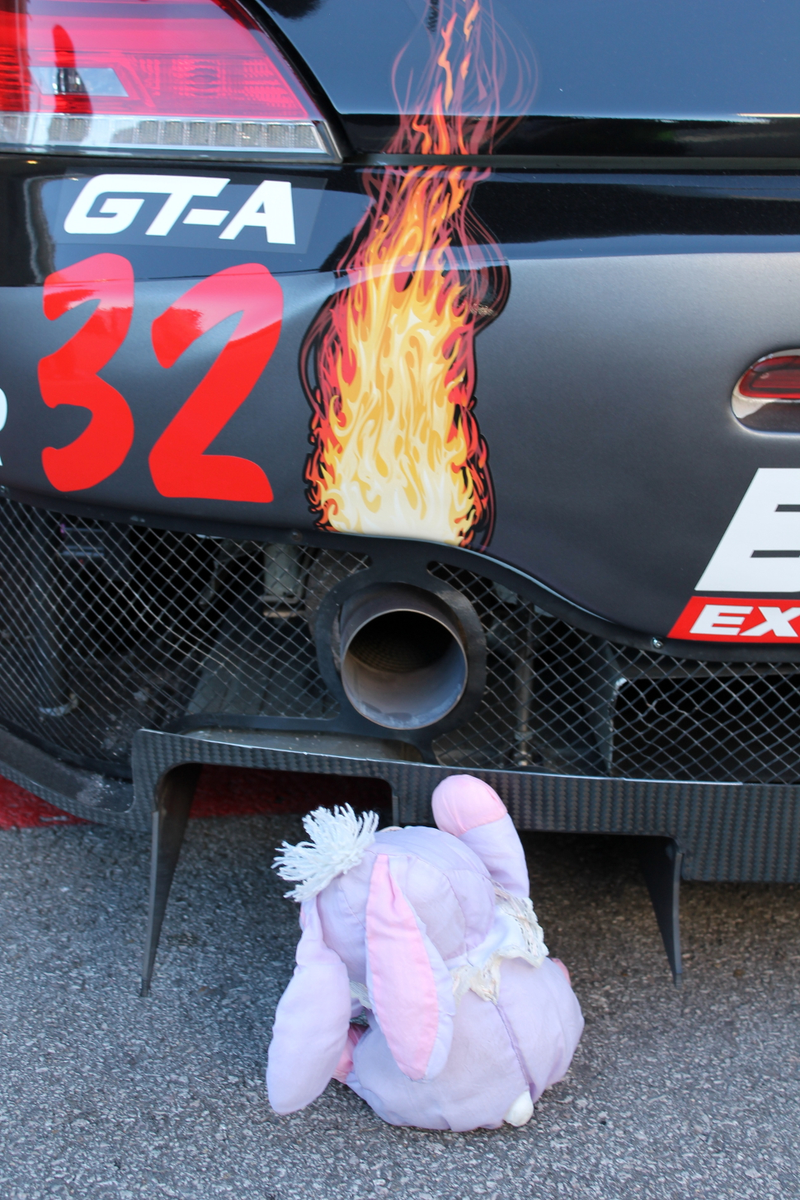 Illustration for article titled If All Else Fails, Blame Fluffy Bunny For Your Race Car's Problems